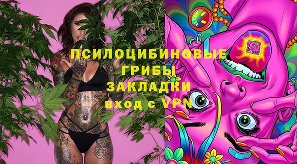 Альфа ПВП Армянск