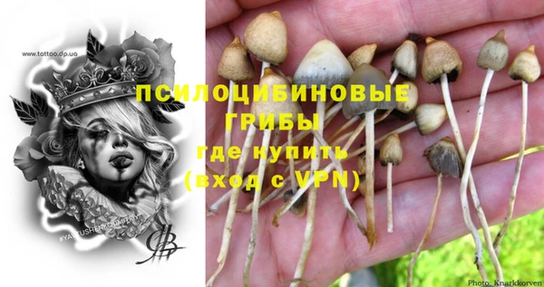 соль курить ск Арсеньев