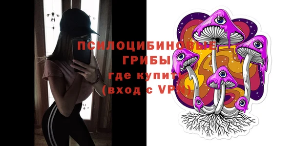 Альфа ПВП Армянск