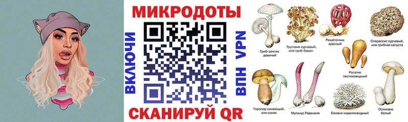 где купить наркотик  Приморско-Ахтарск  Псилоцибиновые грибы мицелий 