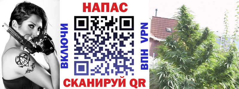 Канабис White Widow Приморско-Ахтарск